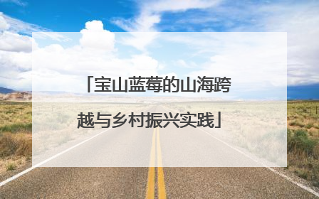 宝山蓝莓的山海跨越与乡村振兴实践