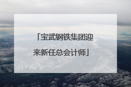 宝武钢铁集团迎来新任总会计师