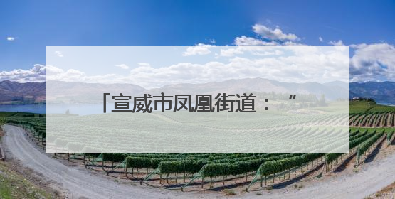 宣威市凤凰街道：“五重五促”共绘家门口务工“斑斓画卷”