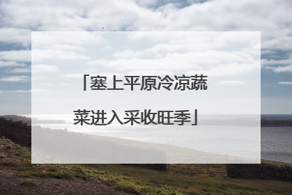 塞上平原冷凉蔬菜进入采收旺季