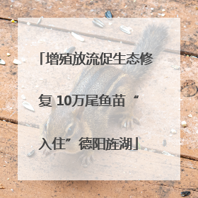 增殖放流促生态修复 10万尾鱼苗“入住”德阳旌湖