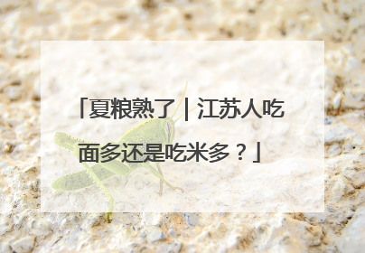 夏粮熟了｜江苏人吃面多还是吃米多？