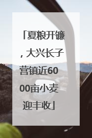 夏粮开镰，大兴长子营镇近6000亩小麦迎丰收
