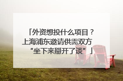 外资想投什么项目？上海浦东邀请供需双方“坐下来掰开了谈”