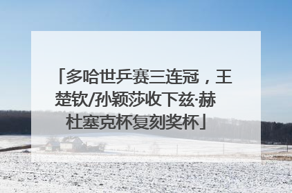 多哈世乒赛三连冠，王楚钦/孙颖莎收下兹·赫杜塞克杯复刻奖杯