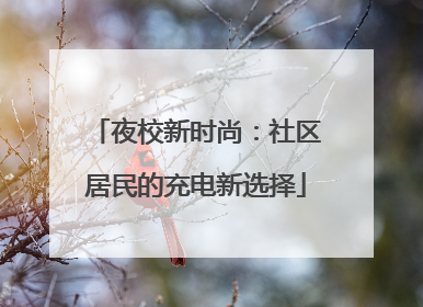 夜校新时尚：社区居民的充电新选择