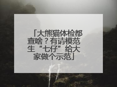 大熊猫体检都查啥？有请模范生“七仔”给大家做个示范