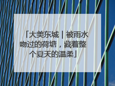 大美东城｜被雨水吻过的荷塘，藏着整个夏天的温柔