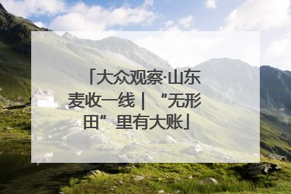 大众观察·山东麦收一线｜“无形田”里有大账