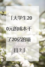 大学生200元的成本干了20亿的项目？