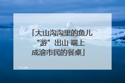 大山沟沟里的鱼儿 “游”出山 端上成渝市民的餐桌