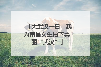 大武汉一日︱我为南昌女生拍下美丽“武汉”