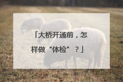 大桥开通前，怎样做“体检”？