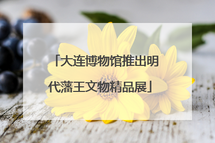 大连博物馆推出明代藩王文物精品展
