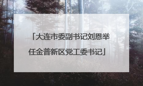 大连市委副书记刘恩举任金普新区党工委书记