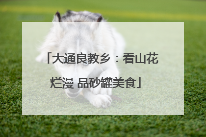 大通良教乡：看山花烂漫 品砂罐美食