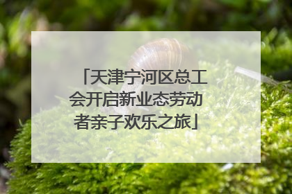 天津宁河区总工会开启新业态劳动者亲子欢乐之旅