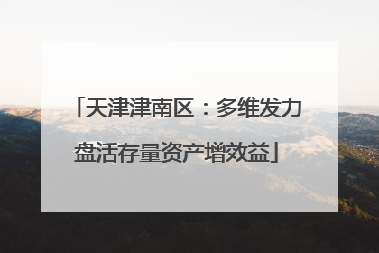 天津津南区：多维发力盘活存量资产增效益