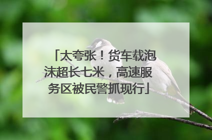 太夸张！货车载泡沫超长七米，高速服务区被民警抓现行