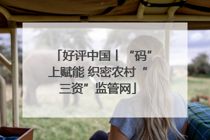 好评中国丨“码”上赋能 织密农村“三资”监管网