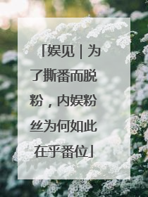 娱见｜为了撕番而脱粉，内娱粉丝为何如此在乎番位