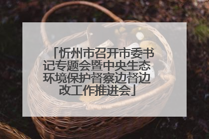 忻州市召开市委书记专题会暨中央生态环境保护督察边督边改工作推进会