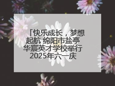 快乐成长，梦想起航 绵阳市盐亭华宸英才学校举行2025年六一庆祝活动