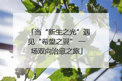 当“新生之光”遇见“希望之翼” 一场双向治愈之旅