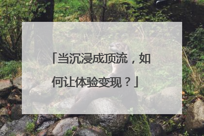 当沉浸成顶流，如何让体验变现？