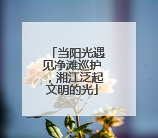 当阳光遇见净滩巡护，湘江泛起文明的光