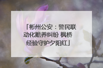 彬州公安：警民联动化赡养纠纷 枫桥经验守护夕阳红