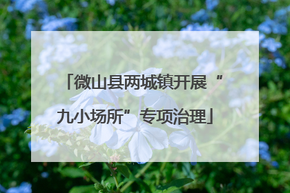微山县两城镇开展“九小场所”专项治理
