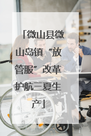 微山县微山岛镇“放管服”改革护航三夏生产