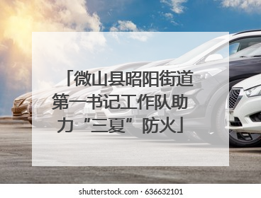 微山县昭阳街道第一书记工作队助力“三夏”防火