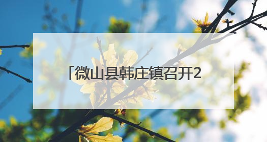微山县韩庄镇召开2025年度夏季秸秆禁烧工作动员部署会议