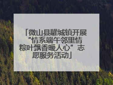 微山县驩城镇开展“情系端午邻里情 粽叶飘香暖人心”志愿服务活动