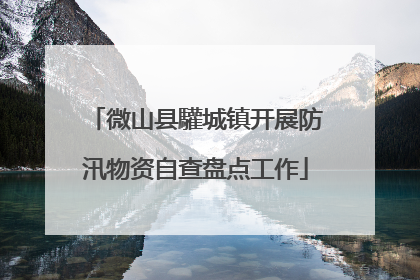 微山县驩城镇开展防汛物资自查盘点工作