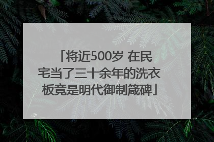 将近500岁 在民宅当了三十余年的洗衣板竟是明代御制箴碑