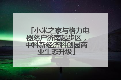 小米之家与格力电器落户济南起步区，中科新经济科创园商业生态升级