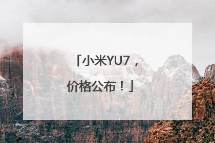 小米YU7，价格公布！