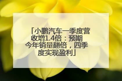 小鹏汽车一季度营收增1.4倍：预期今年销量翻倍，四季度实现盈利