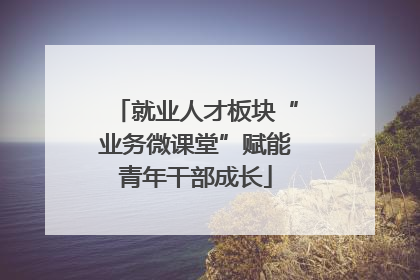 就业人才板块“业务微课堂”赋能青年干部成长