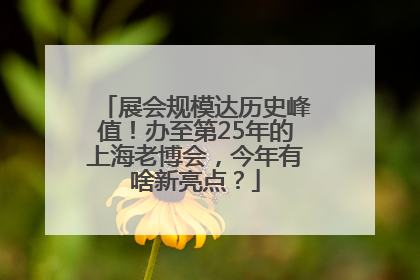展会规模达历史峰值！办至第25年的上海老博会，今年有啥新亮点？