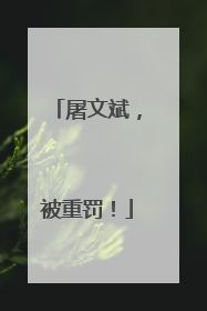 屠文斌，被重罚！
