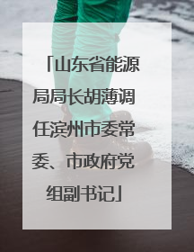 山东省能源局局长胡薄调任滨州市委常委、市政府党组副书记