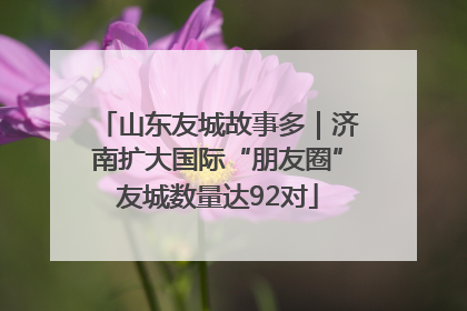 山东友城故事多｜济南扩大国际“朋友圈”友城数量达92对