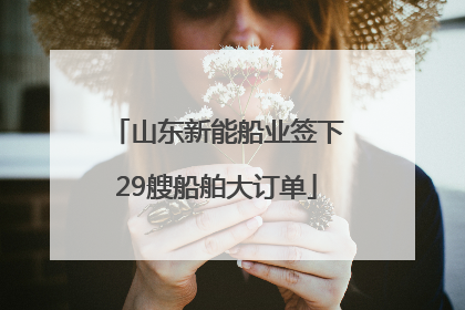山东新能船业签下29艘船舶大订单