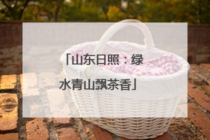 山东日照：绿水青山飘茶香