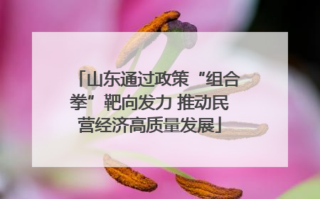 山东通过政策“组合拳”靶向发力 推动民营经济高质量发展
