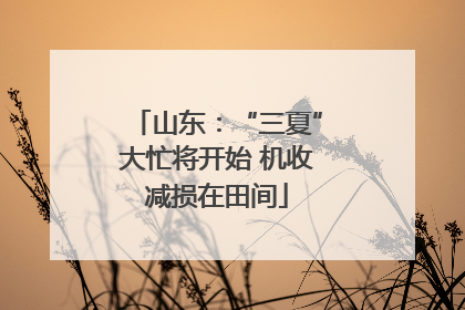 山东：“三夏”大忙将开始 机收减损在田间